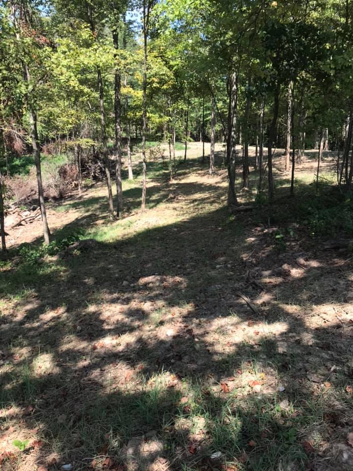 buy hunting land