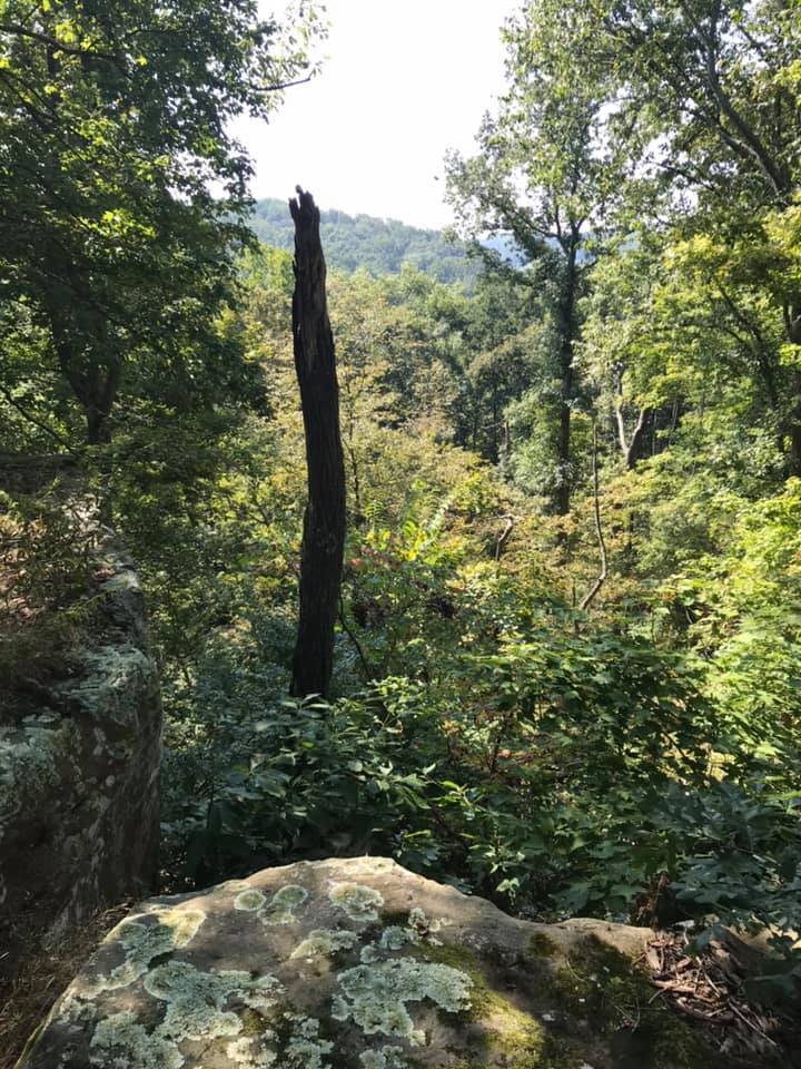 buy hunting land