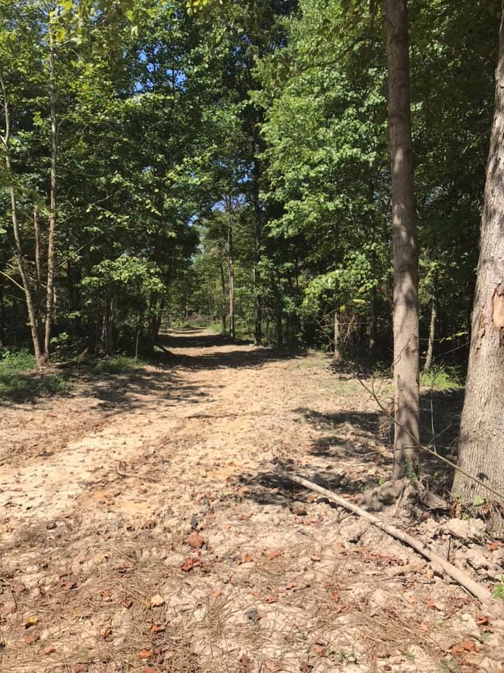 buy hunting land