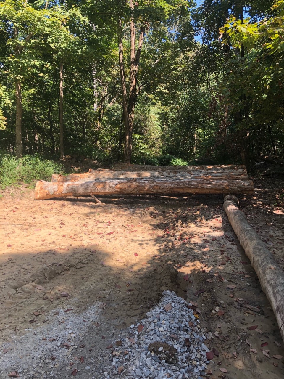 logs indiana