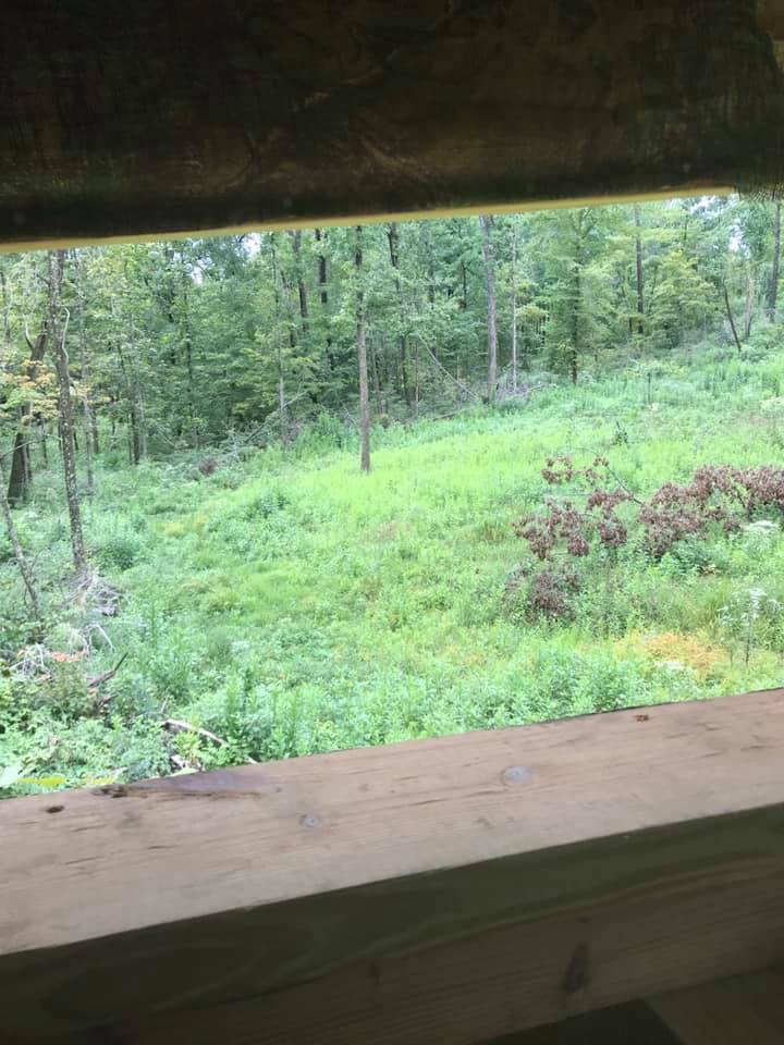 buy hunting land
